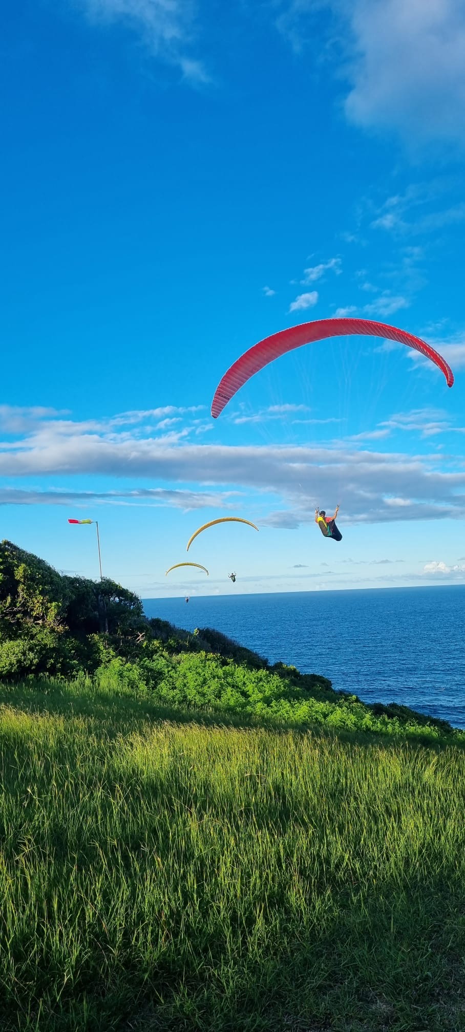 Pilotes en parapente lors d’un voyage sur un site côtier